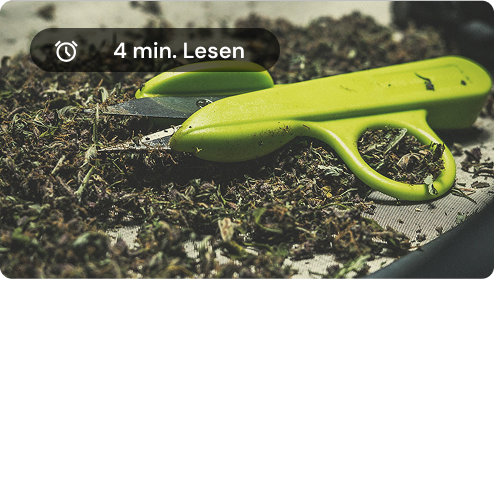 trimming scissors DE